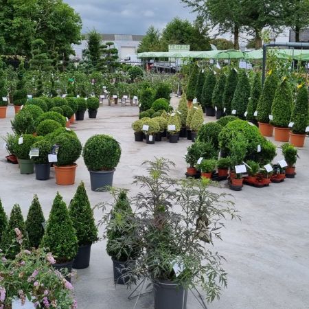 Picture for category Total plant program