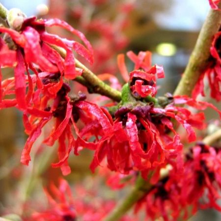 Picture for category Looking good just now!