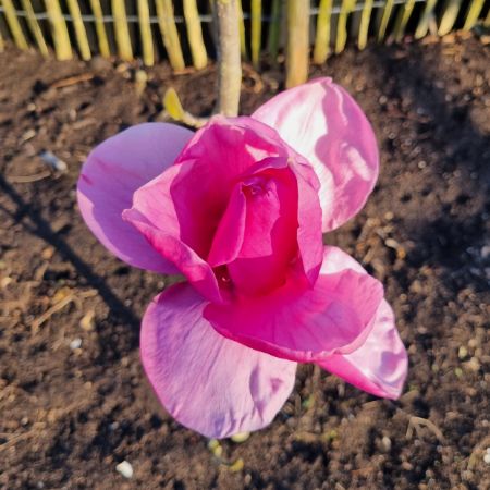 Picture for category Looking good just now!