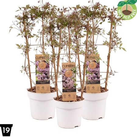 Picture for category This is now visual!